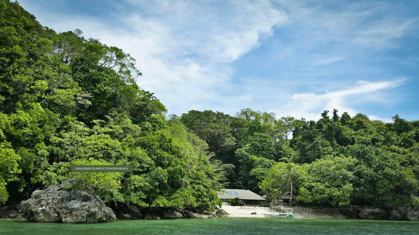 A Regenerative Island and Beach exemplar